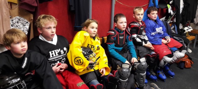 Eisbär Projekt - Gruppe Eishockey