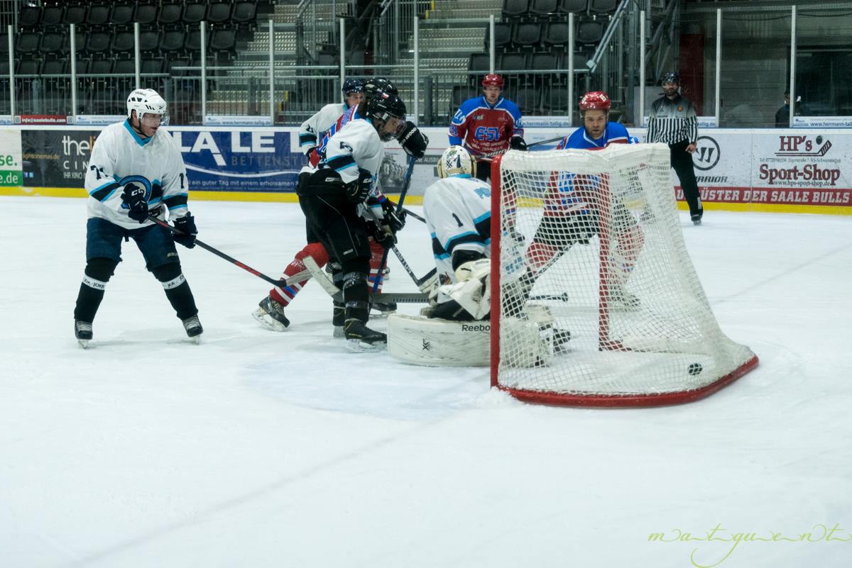 Saale Bulls 1b besiegen Leipzig deutlich – jetzt kommt Dresden