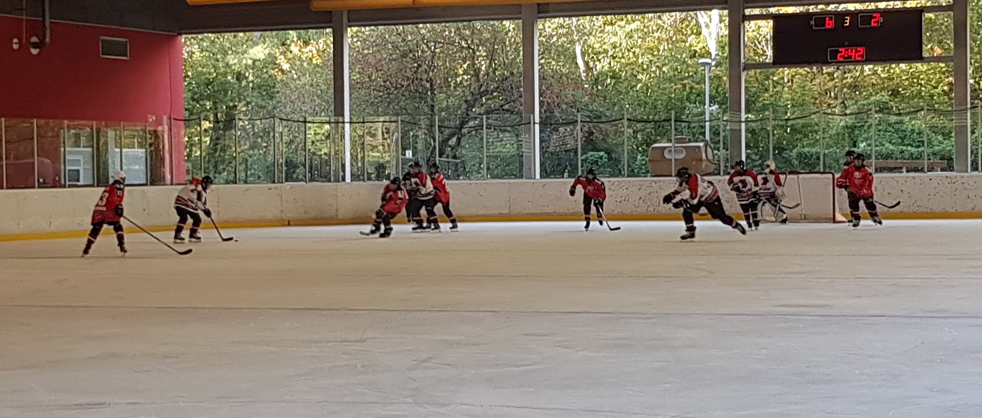 Young Saale Bulls mit zu wenig Biss