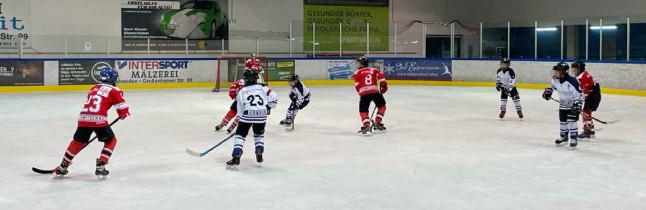 U11 gegen Dresden