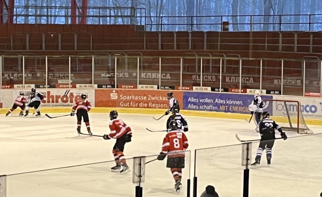 U13 SG gegen Dresdner Eislöwen Juniors